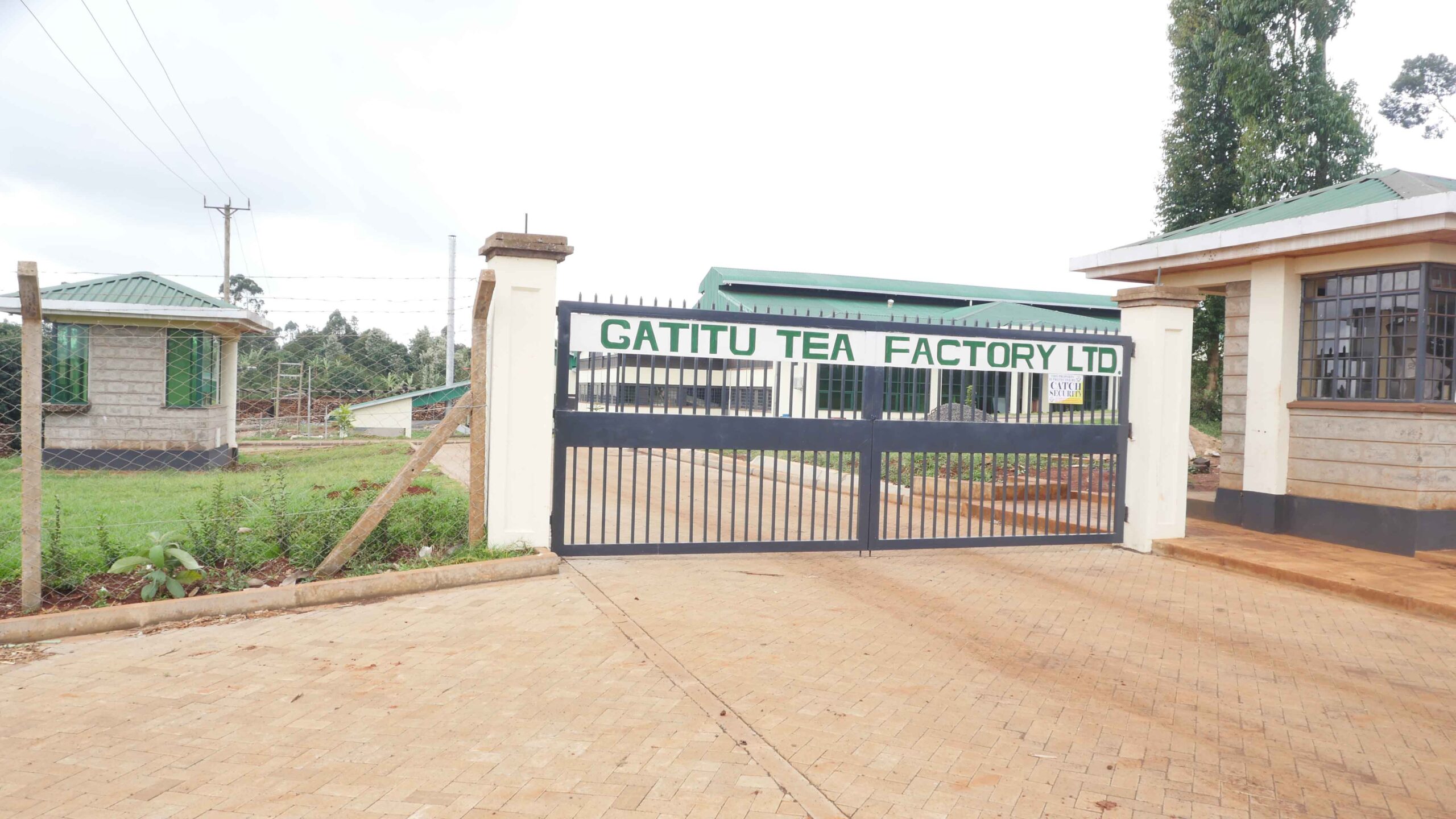 Gatitu Tea Factory
