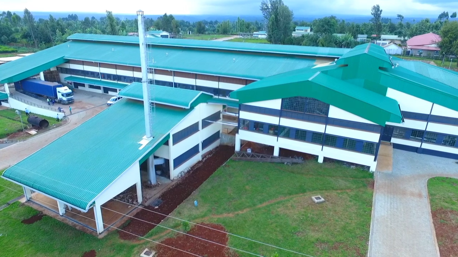 Tea Processing Line